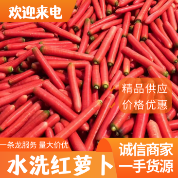 水果红萝卜，日供万斤，量大价优，质量三包