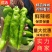 鲜辣椒夏邑辣椒大量出货产地供货可视频看货