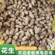 鲜花生小白沙对接各大商超市场电商平台，