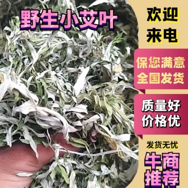 艾叶纯野生小叶艾干货！有不懂得联系我