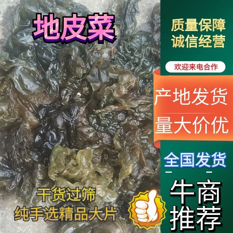 《地皮菜》野生地皮菜/多次过筛收选干净无杂，电商货，泡货