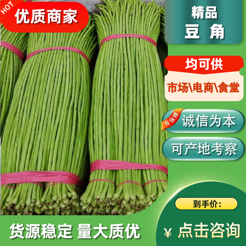 【青条豆角】精品长豆角豇豆广东湛江诚信经营