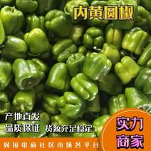 【热卖中】精品圆椒9cm以上万亩菜椒大量上市保质保量