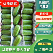 毛节瓜【黑皮短毛】新苗迷你小冬瓜清甜脆嫩爬藤现摘