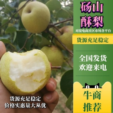 酥梨，皮薄汁多，一手货源，欢迎新老客户前来选购。