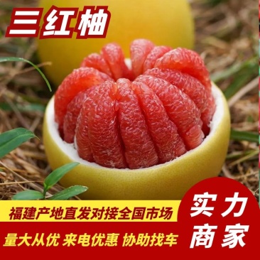 精品柚子福建三红柚果肉饱满汁水丰盈供应电商社区市场