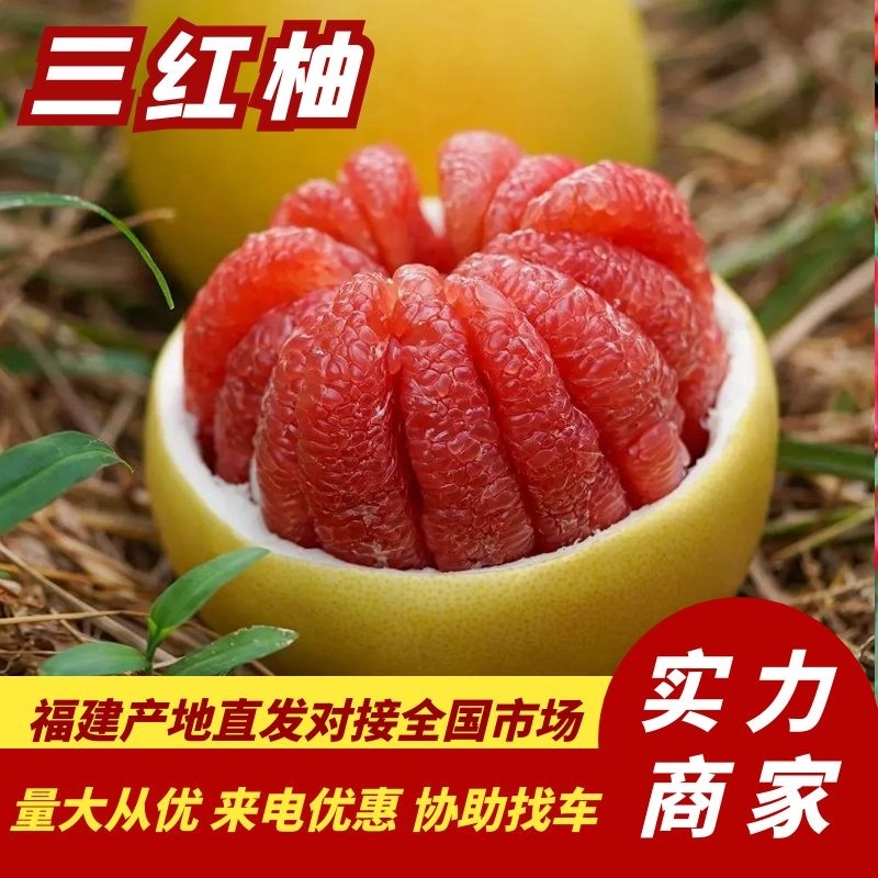 精品柚子福建三红柚果肉饱满汁水丰盈供应电商社区市场
