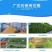 移动树枝粉碎机园林绿化枝条切碎机花椒树苗圃枝条破碎机
