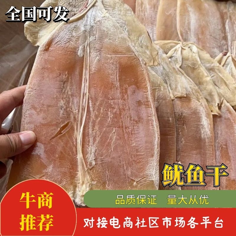 无头鱿鱼干淡干鱿鱼干九成干成色好干度好