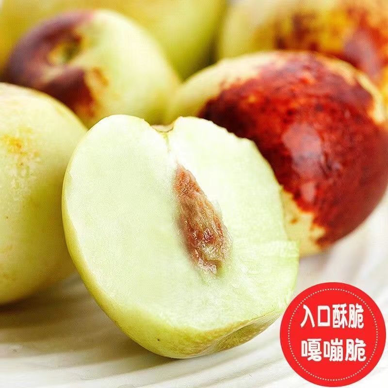 【精选】山东沾化冬枣对接市场批团购各大电商质优价廉