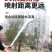船式抽水机汽油小型水泵船仔机农用四冲程大流量自吸漂浮泵