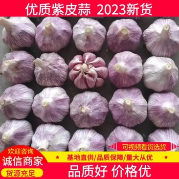 【山东大蒜】紫皮蒜白皮蒜承接电商商超全国发货保质保量