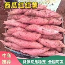 云南省建水县西瓜红红薯上市数量大，欢迎老板实地定货。