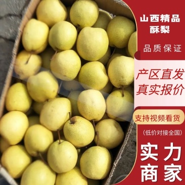 【推荐商家】王过酥梨,产地供应,口感香甜,欢迎客商来电。