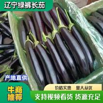 【热卖中】精品绿裤紫茄绿把长茄子可承接各大平台实力供货