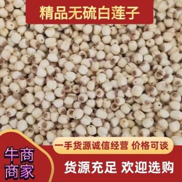 江西白莲子批发零售，产地直销一手货源，品质保证