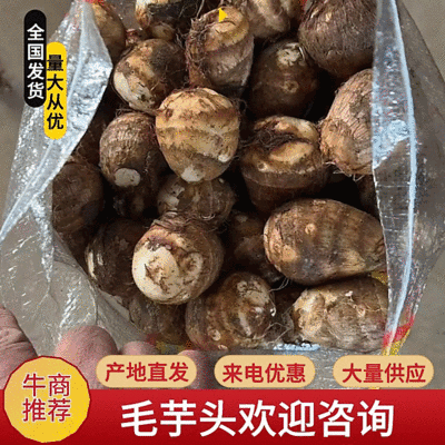 【优选】新鲜芋头软糯香甜芋头8520产地直发欢迎订购