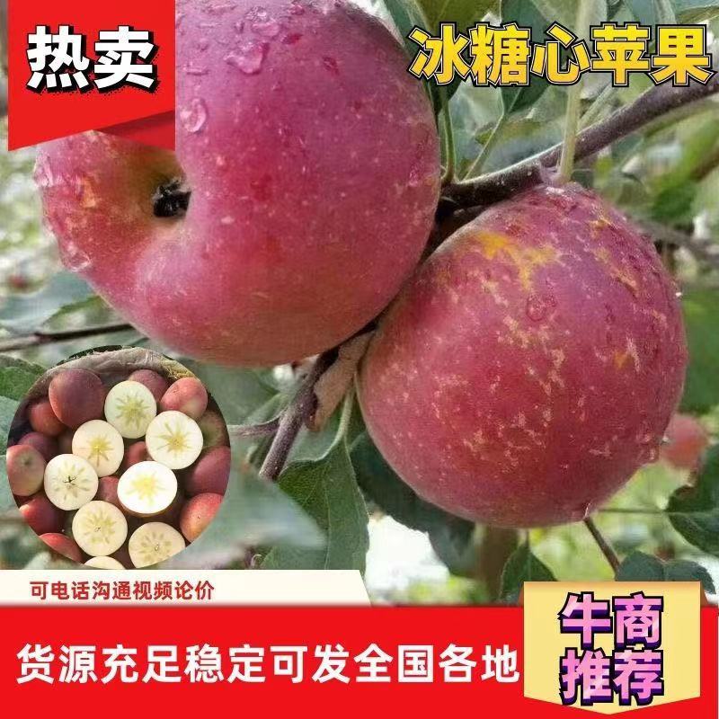 【精】冰糖心苹果大量上市各大平台供货支持视频看货口感好