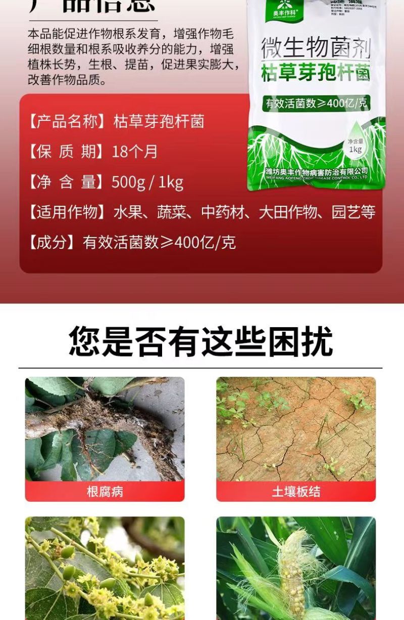 枯草芽孢杆菌农用根腐病立枯病猝倒病枯萎病白粉病改良土壤