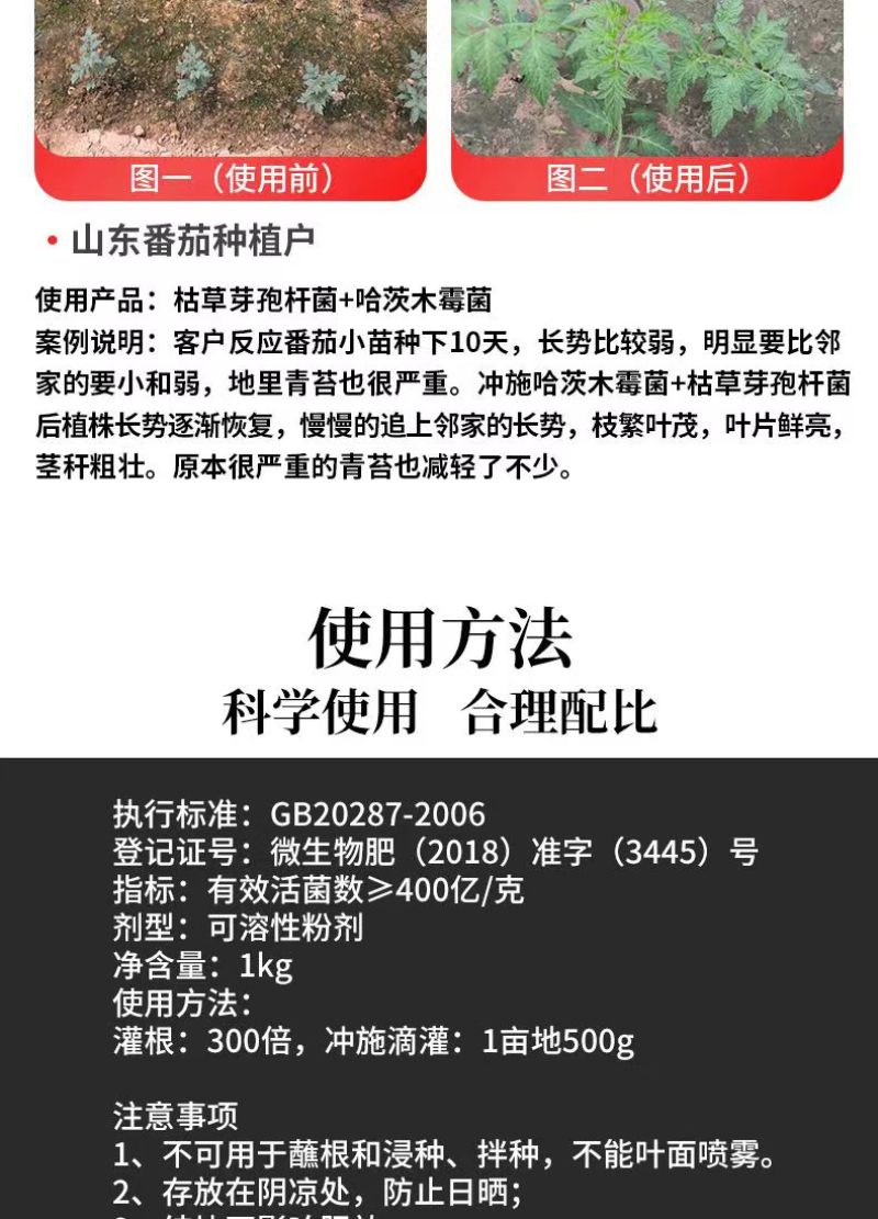 枯草芽孢杆菌农用根腐病立枯病猝倒病枯萎病白粉病改良土壤