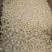 【精品】雪梨球梨瓣全规格有货精致加工对接罐头厂等