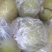 【精品】雪梨球梨瓣全规格有货精致加工对接罐头厂等