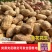 【好货】万亩鲁花花生鲜花生带壳花生保质保量可对接商超