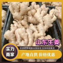【实力】山东精品老姜一手货源量大从优欢迎来电洽谈合作