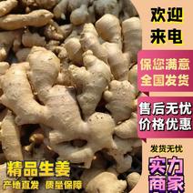 【老姜】山东精品老姜大量上市中品质保证可视频看货