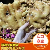 【实力】山东水洗大黄姜大量上市量大从优供应全国市场