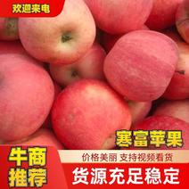 辽宁北镇寒富苹果大量现货欢迎各位新老客户前来实地考察
