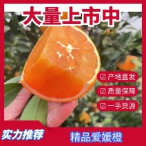 湖北精品爱媛橙果冻橙大量上市甘甜爽口皮薄全国发货