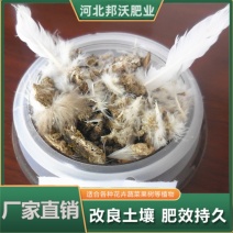 鸽子粪农家肥通用厂家直发