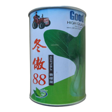 冬傲88青梗菜种子