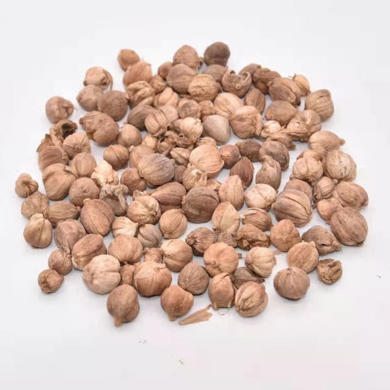 白豆蔻1000克【华美中药】中药材现货批发供应白豆蔻