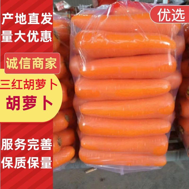 精品三红胡萝卜大量供应中产地直发对接超市市场电商等