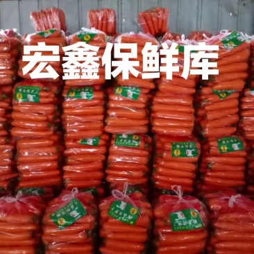 【精品推荐】开封胡萝卜，产地一手货源，量大从优，全国发货