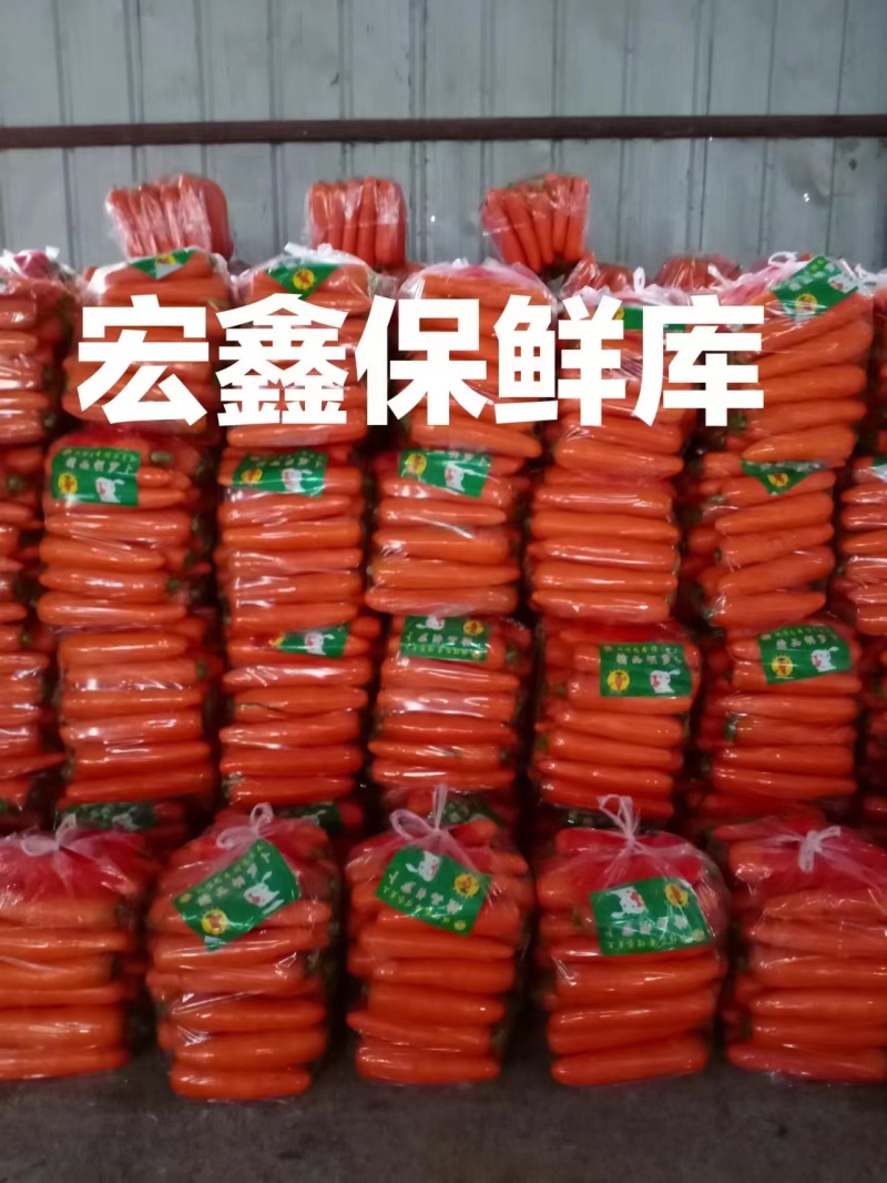 【精品推荐】开封胡萝卜，产地一手货源，量大从优，全国发货