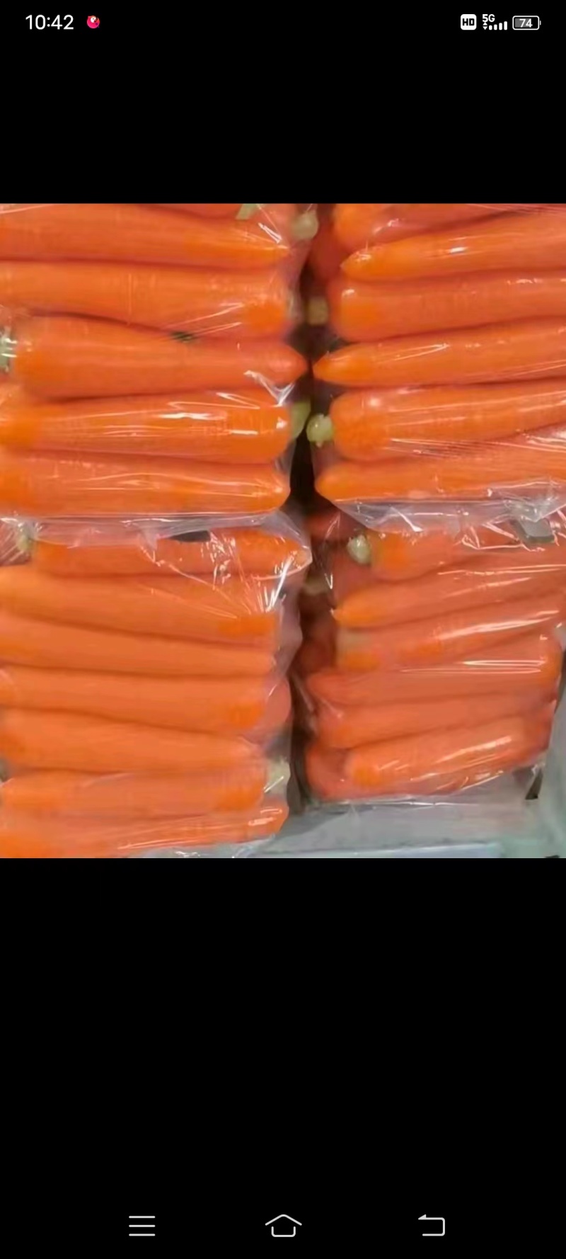 【精品推荐】开封胡萝卜，产地一手货源，量大从优，全国发货