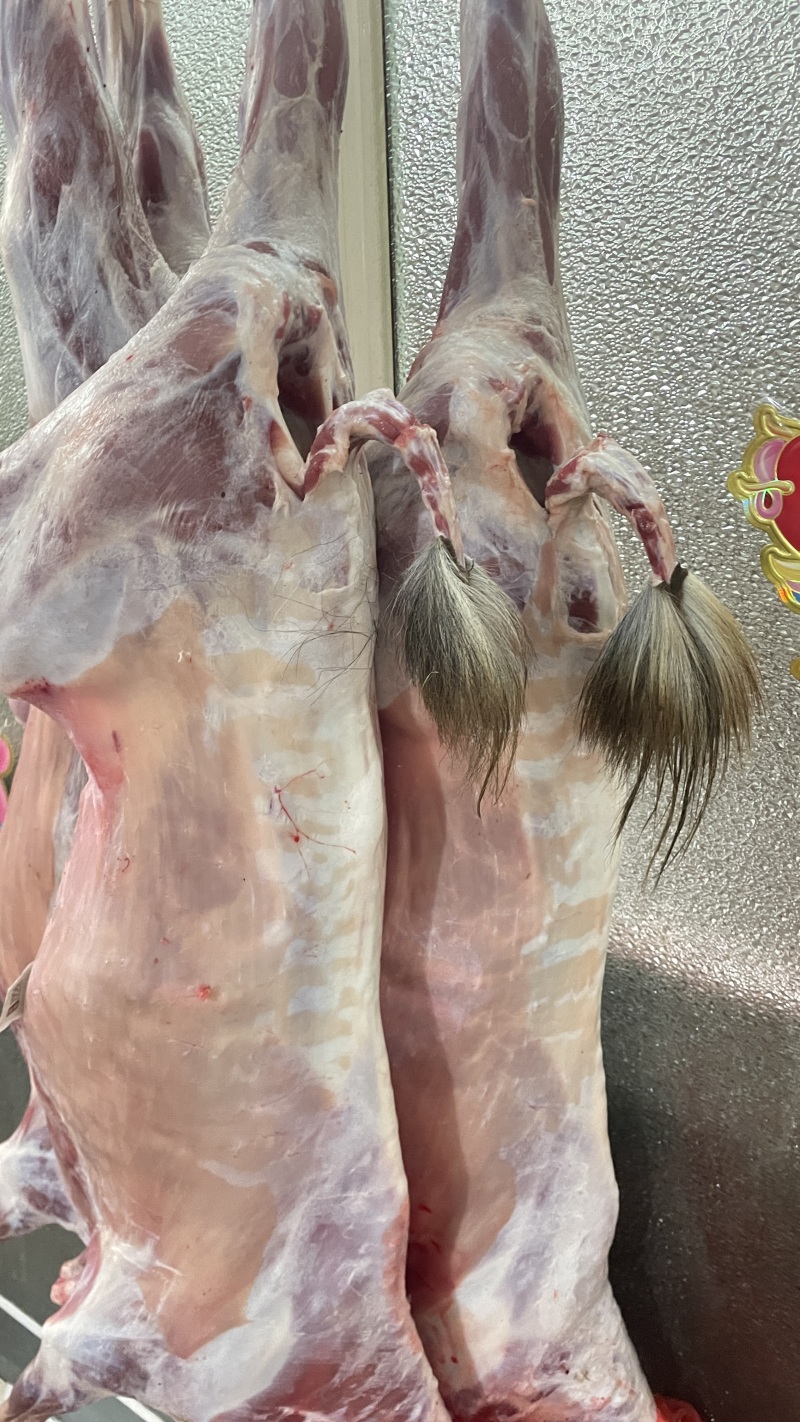 新鲜羊肉青山羊整只品质好宰杀好的欢迎订购