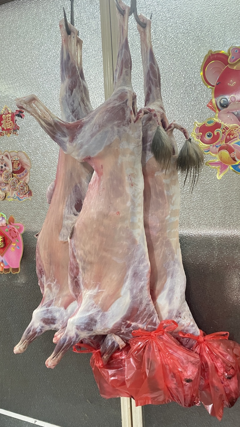 新鲜羊肉青山羊整只品质好宰杀好的欢迎订购