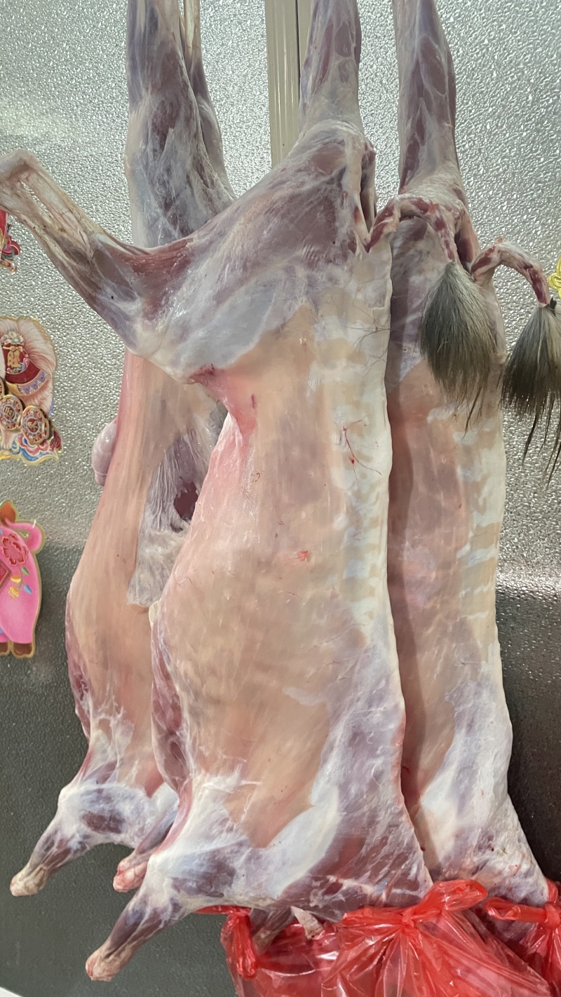 新鲜羊肉青山羊整只品质好宰杀好的欢迎订购