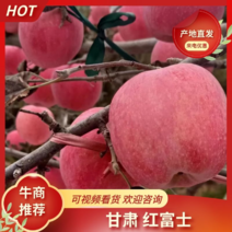 甘肃红富士苹果脆甜可口产地直发一手货源保质保量欢迎电联