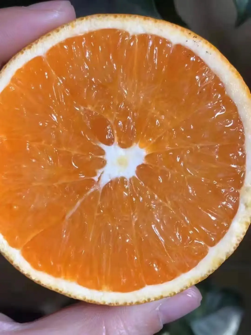 【推荐】湖北九月红果冻橙，皮薄多汁，水足纯甜，全国可发