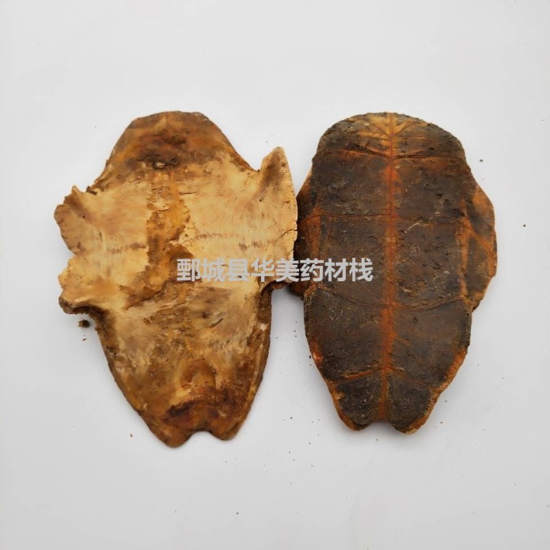制龟板1000克【华美中药】中药材批发供应【龟板】产地货