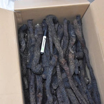 肉苁蓉1000克【华美中药】中药材批发现货供应内蒙肉苁蓉