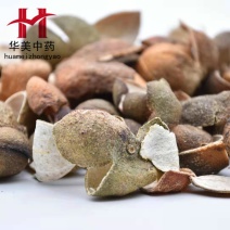 四花青1000克【华美中药】中药材批发现货供应四花青皮