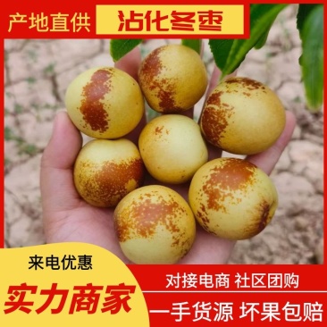 沾化冬枣大量供应对接各大电商平台一件代发落地配