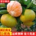 【蜜桔】湖北特早蜜桔现摘现发皮薄多汁对接市场电商
