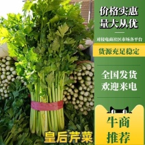 夏邑县大棚西芹，产地商丘夏邑，大量供应精品，质量三包